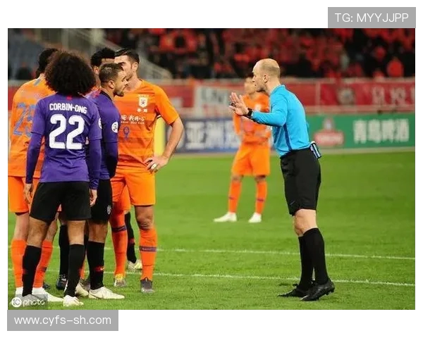 杭州排球队战术引发热议球迷与专家观点大碰撞